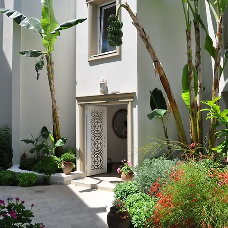 Olivias Group Hotel Gümbet