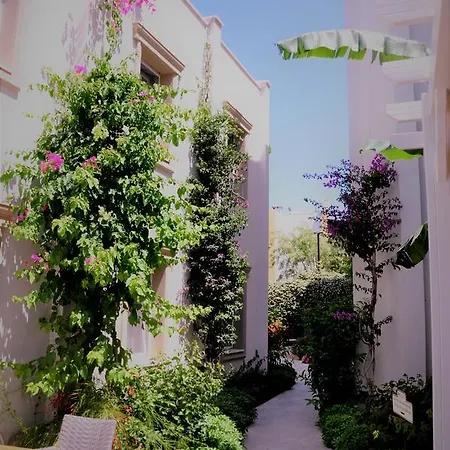 Ξενοδοχείο Olivias Group Gümbet