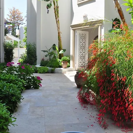 Otel Olivias Group Bitez
