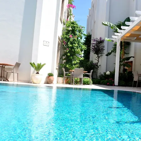 Olivias Group Otel