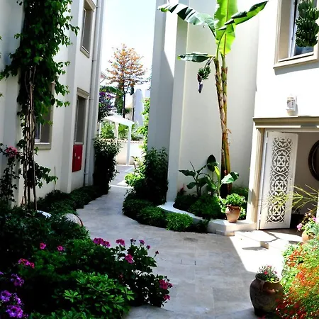 Hotel Olivias Group 3*