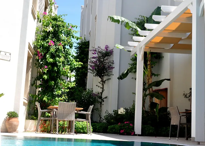 Olivias Group فندق 3*