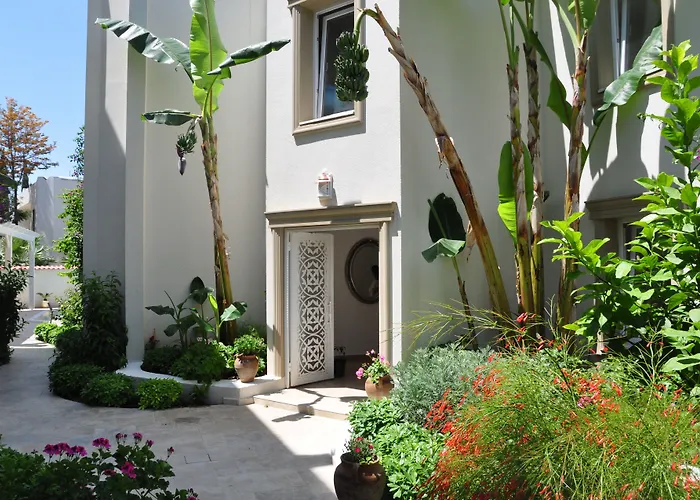 Olivias Group فندق غومْبيت