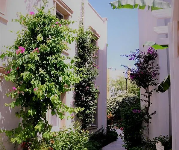 فندق Olivias Group غومْبيت