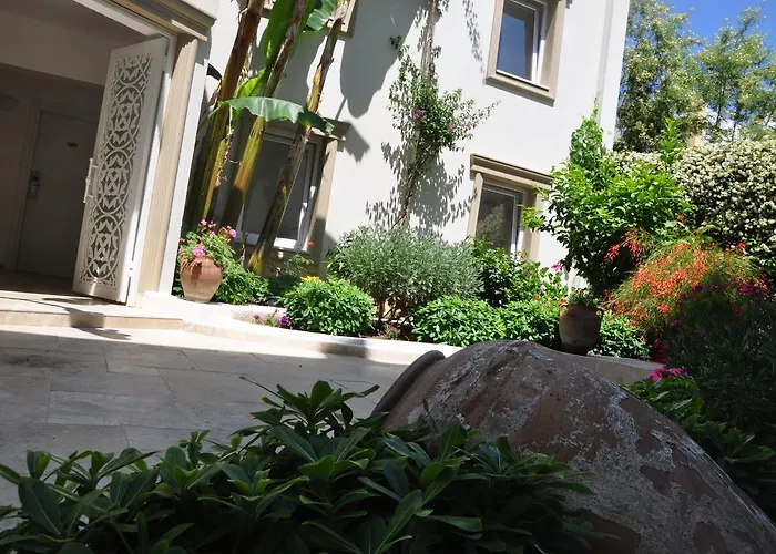 Olivias Group فندق