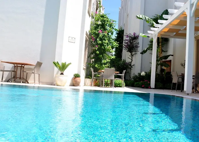 Olivias Group فندق