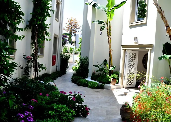 فندق Olivias Group 3*